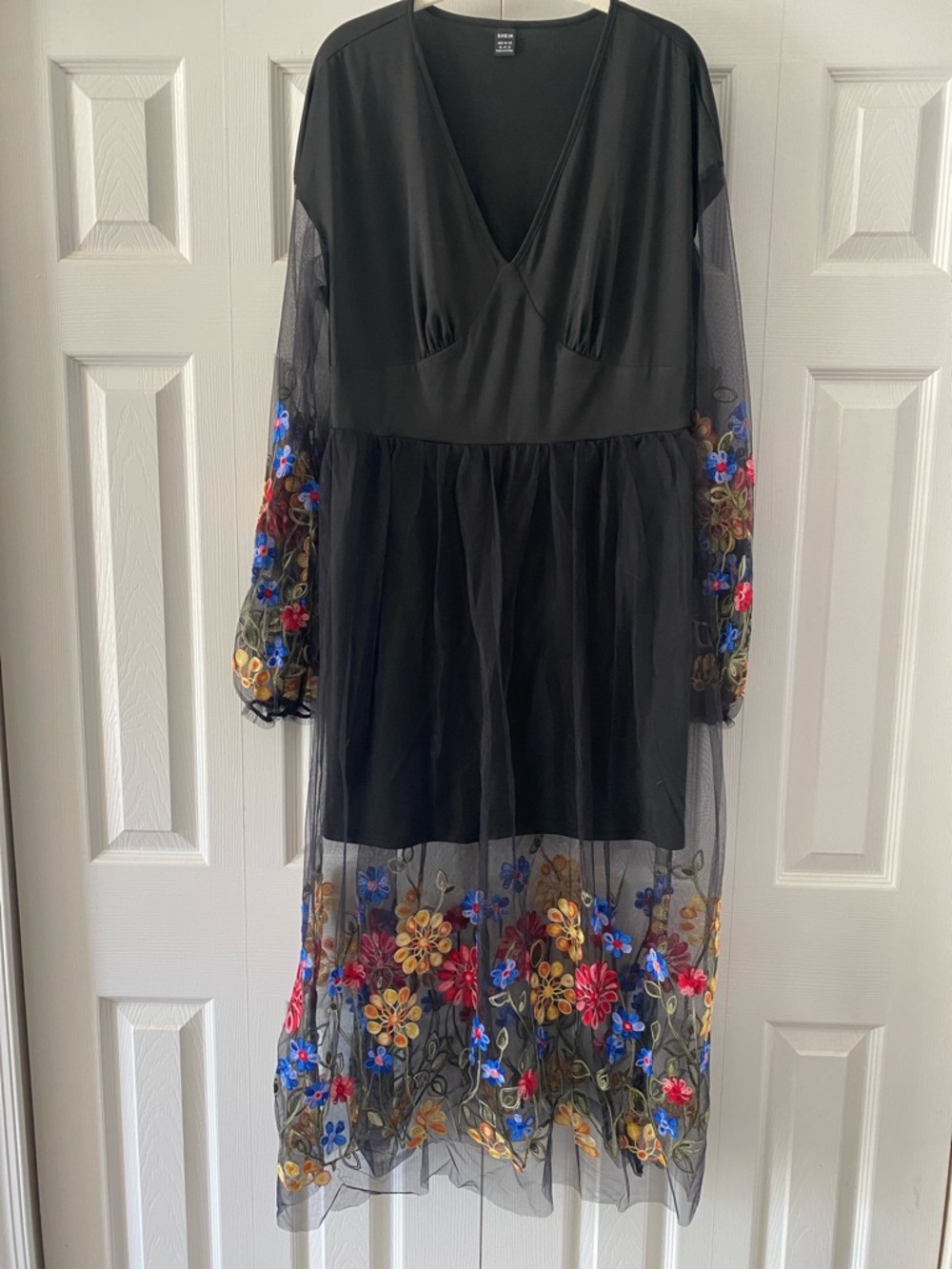 Beautiful Embroidered Dress with Sheer Sleeves & Overskirt